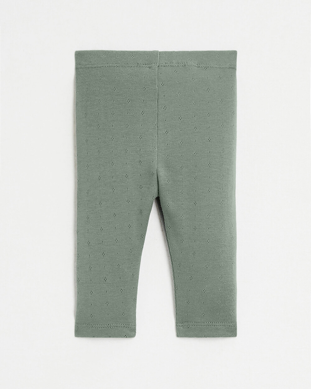 Caleçon sans pied en coton Coloris vert Natalys