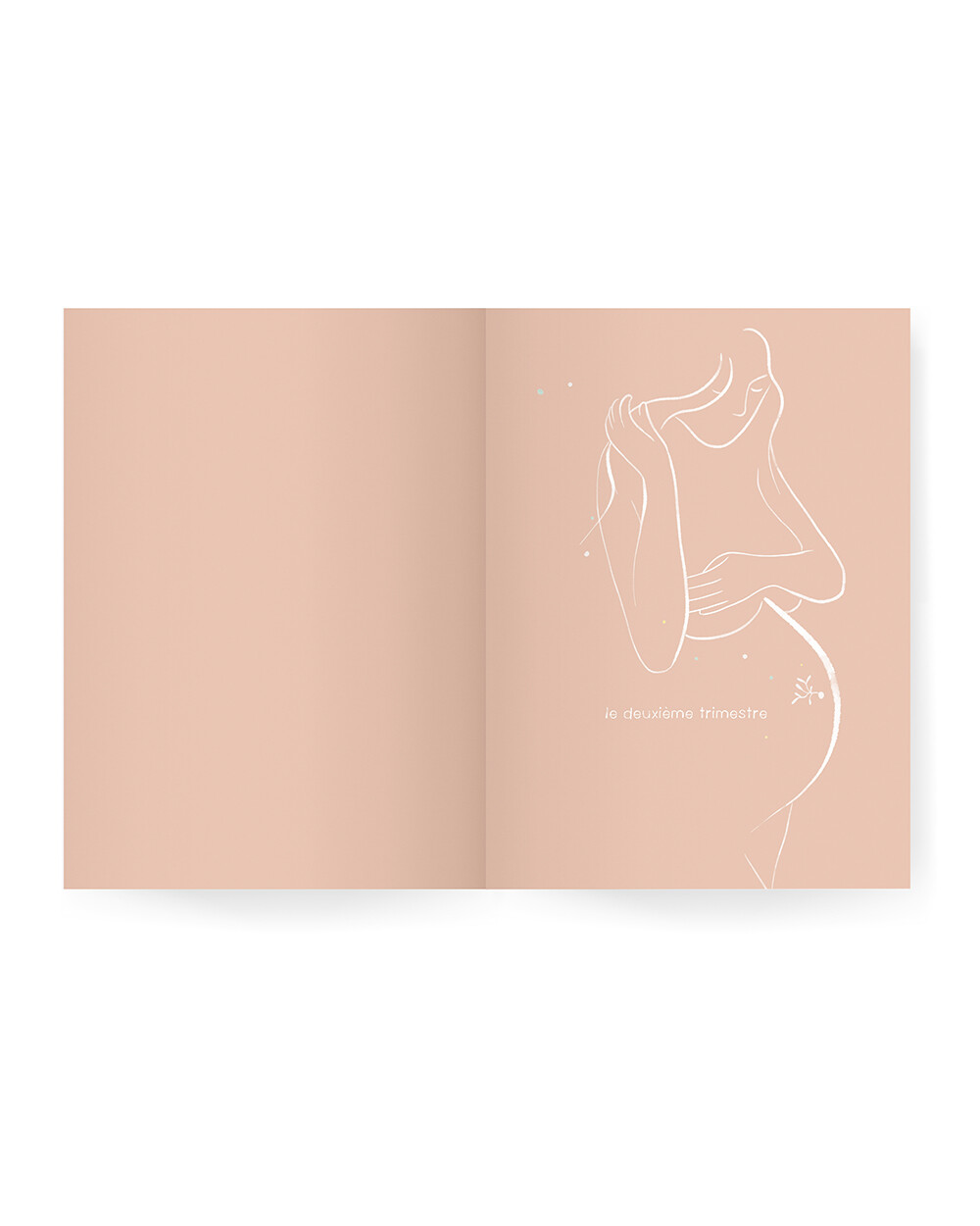 Guide de grossesse Mèr(e)veilleuse Ilado