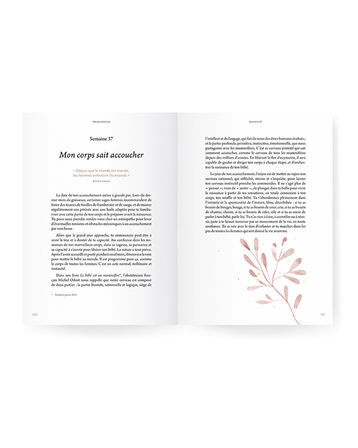 Guide de grossesse Mèr(e)veilleuse Ilado