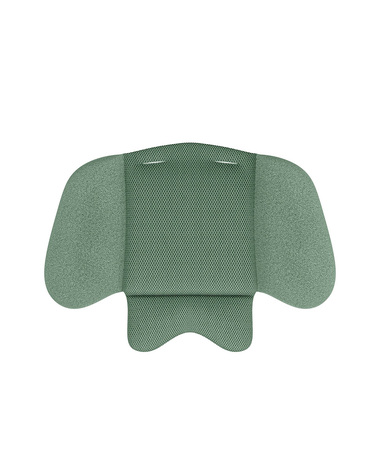 Si&egrave;ge auto Cloud T i-Size Coloris leaf green (Plus)  Cybex